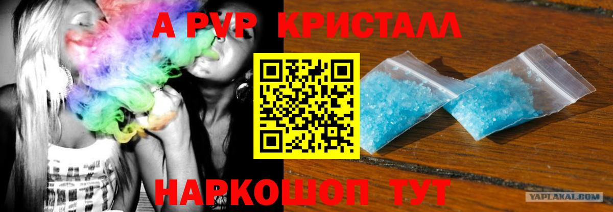 A-PVP СК КРИС Гай