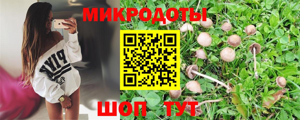 Гай  Псилоцибиновые грибы Psilocybine cubensis  купить   Вход с VPN 