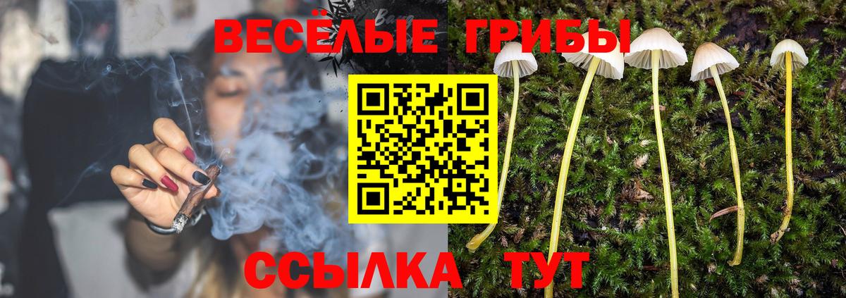 Галлюциногенные грибы ЛСД Гай